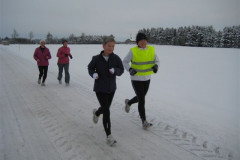 Vinter-2010