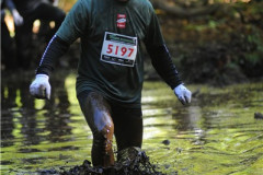 XM2011_3