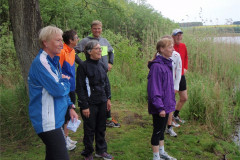 Maglesø-2013-9